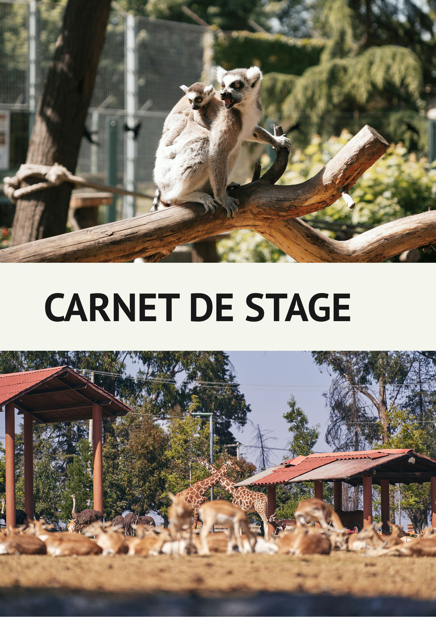 Carnet de Stage Spécial Soigneur Animalier — Le compagnon indispensable de votre stage